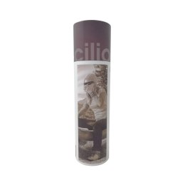 Butelka termiczna CILIO 750 ML